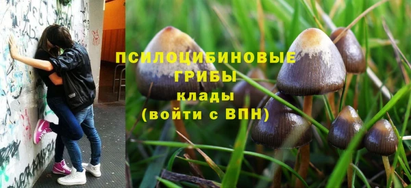 амф Нязепетровск