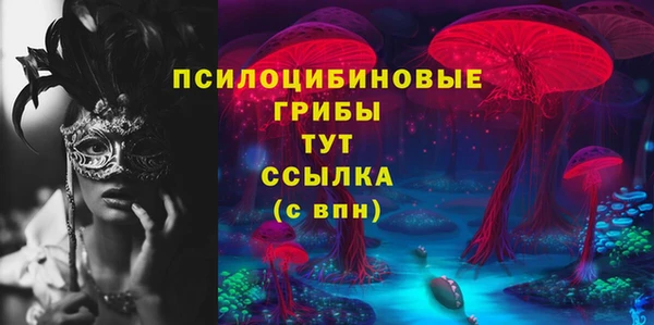 амф Нязепетровск