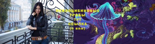 амф Нязепетровск